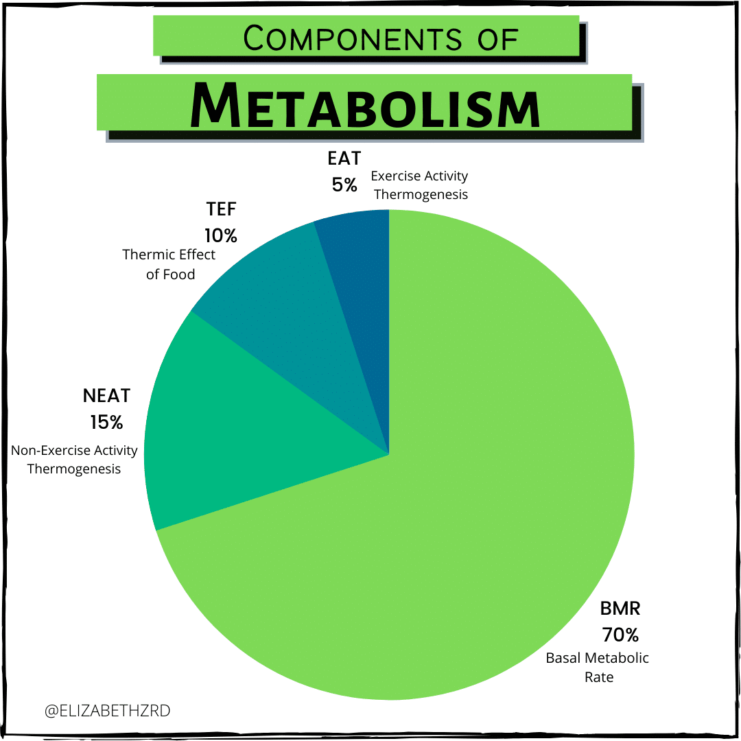 Tef Nutrition Definition Besto Blog